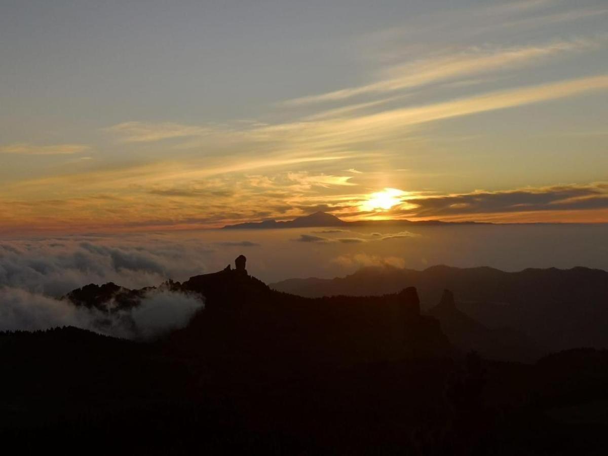 Vv Rural Finca Ecocielo Вега де Сан Матео Экстерьер фото